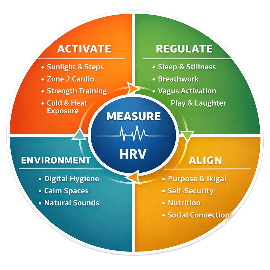 MAREA Flywheel - Measure, Activate, Regulate, Environment, Align
